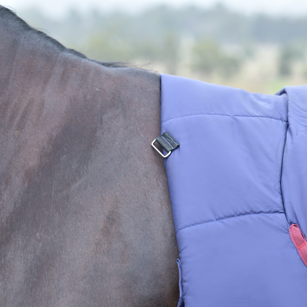 Weatherbeeta Comfitec Essential 220G Combo Turnout #colour_navy-burgundy