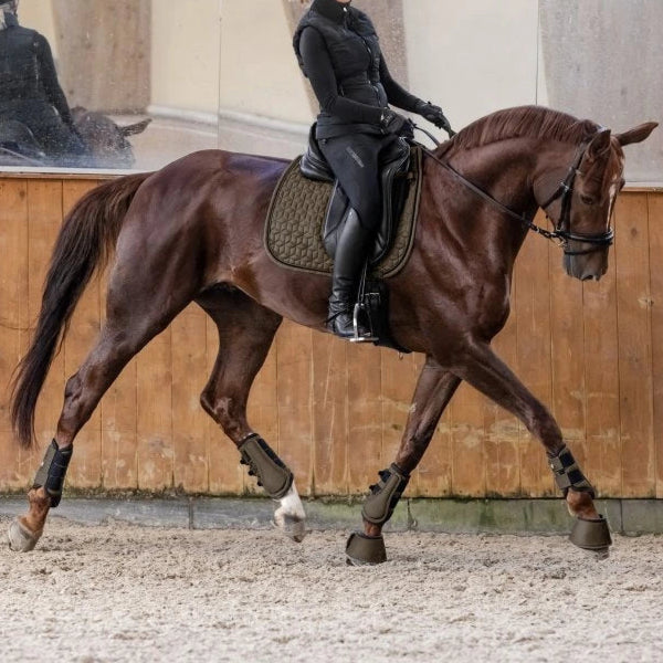 Waldhausen Philadelphia Saddle Pad #colour_green-brown