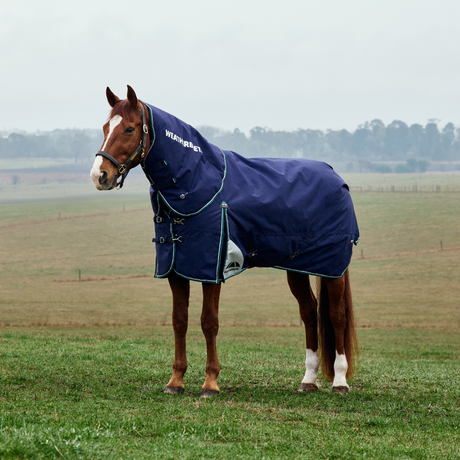 Weatherbeeta Comfitec Plus Dynamic 100G Detach-A-Neck Turnout #colour_navy-forest-green