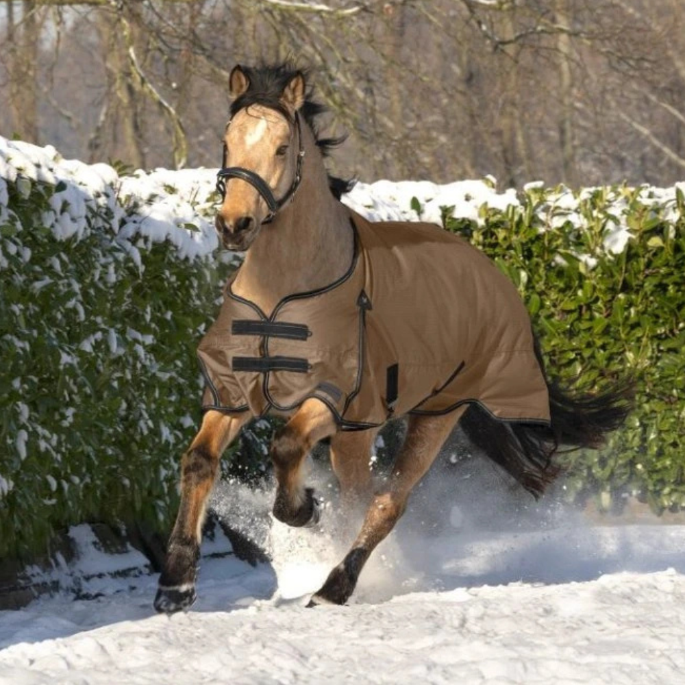Waldhausen Arctic Light Turnout Rug #colour_cappuccino-black