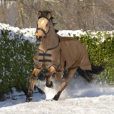 Waldhausen Arctic Light Turnout Rug #colour_cappuccino-black