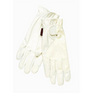 Toggi Andorra Riding Glove #colour_white