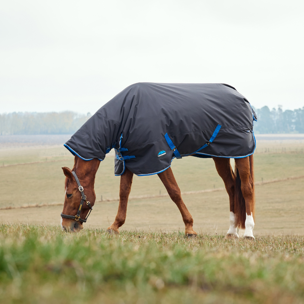 Weatherbeeta Comfitec Tyro 220G Combo Neck Turnout #colour_black-cobalt