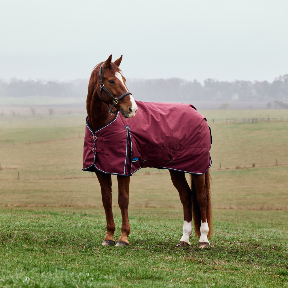 Weatherbeeta Comfitec Prelim 220G Turnout #colour_burgundy-navy