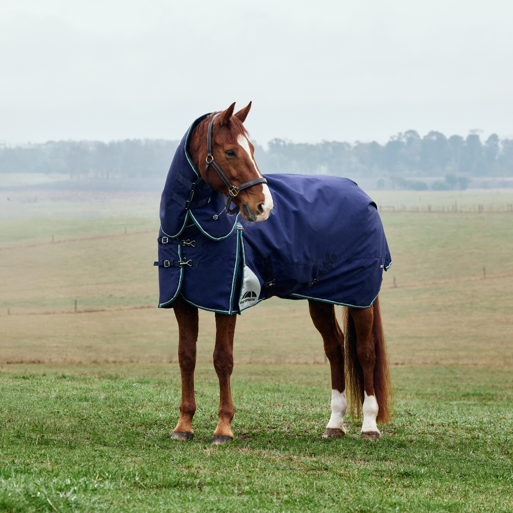 Weatherbeeta Comfitec Plus Dynamic 0G Detach-A-Neck Turnout #colour_navy-forest-green