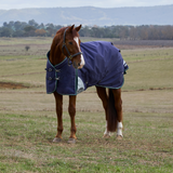 Weatherbeeta Comfitec Plus Dynamic 100G Turnout #colour_navy-forest-navy