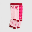Toggi Pug Socks 3 Pack #colour_pink-red