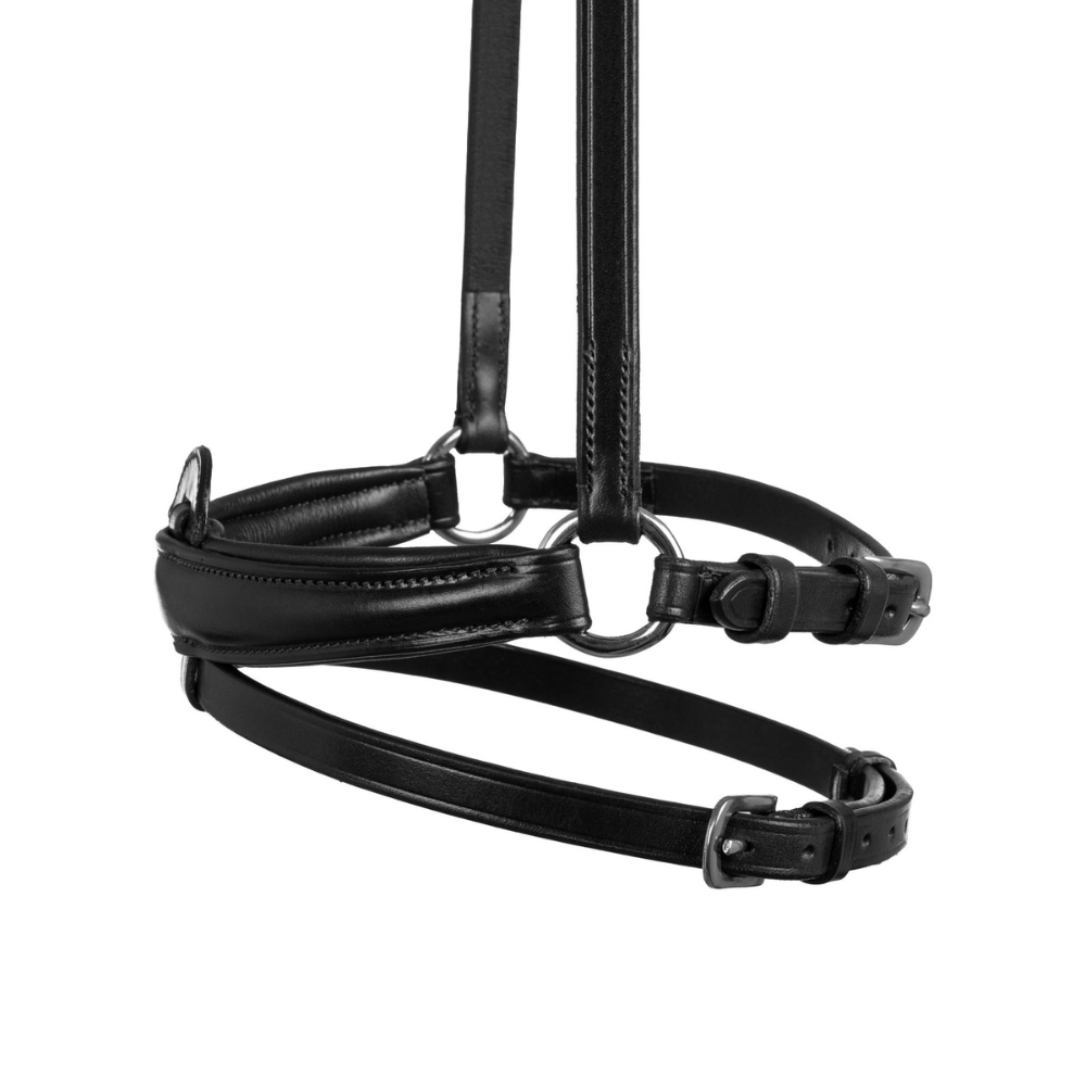 Acavallo Flash Noseband Quick Coupling #colour_black