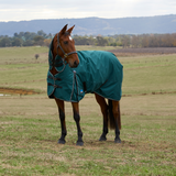 Weatherbeeta Comfitec Classic 220G Combo Turnout #colour_forest-green-black