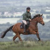 EQUIDRY Women's Thin Fleece Shortie #colour_black-forest-green