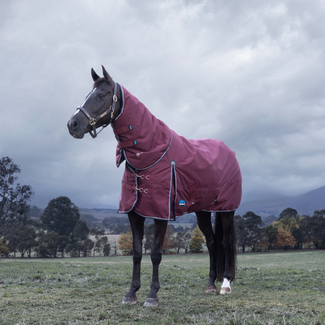 Weatherbeeta Comfitec Essential 220G Detach-A-Neck Turnout #colour_burgundy-navy
