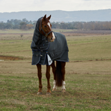 Weatherbeeta Comfitec Ultra 220G Detach-A-Neck Turnout #colour_charcoal