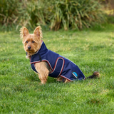 Weatherbeeta Comfitec Premier Deluxe Waterproof Dog Coat #colour_navy-burgundy