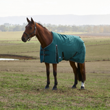 Weatherbeeta Comfitec Classic 220G Turnout #colour_forest-green-black