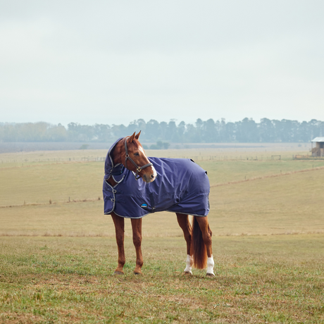 Weatherbeeta Comfitec Tyro 50G Combo Neck Turnout #colour-navy-grey