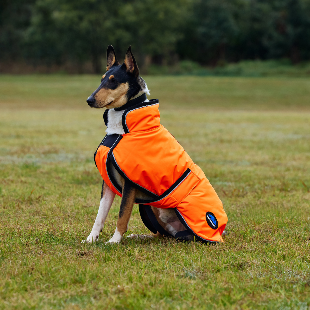 Weatherbeeta Comfitec Reflective 300D Deluxe Showerproof Dog Coat #colour_orange