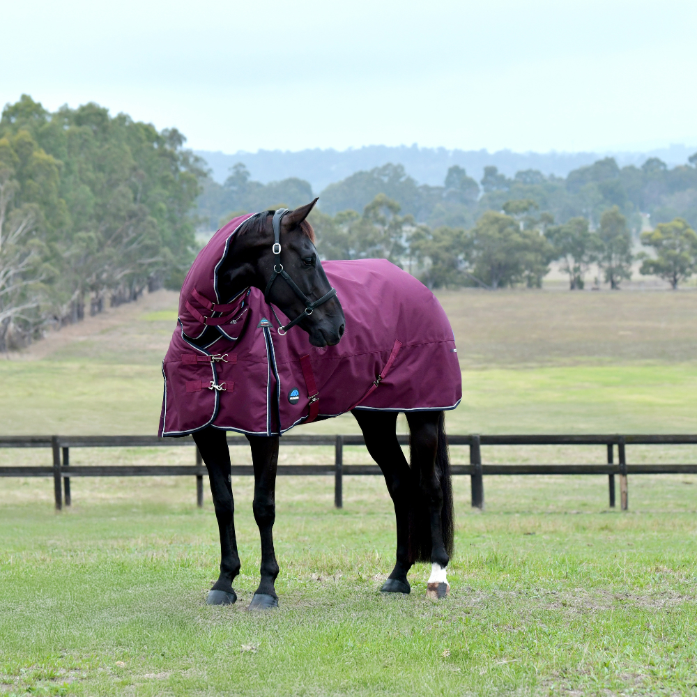 Weatherbeeta Comfitec Essential 360G Combo Turnout #colour_burgundy-navy