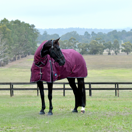 Weatherbeeta Comfitec Essential 360G Combo Turnout #colour_burgundy-navy