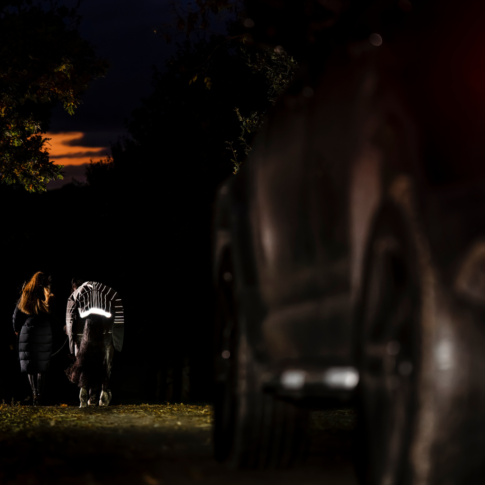 Horseware Ireland Amigo 1200D FieldSafe Reflectech Plus 0g Turnout Rug #colour_black-reflective-black