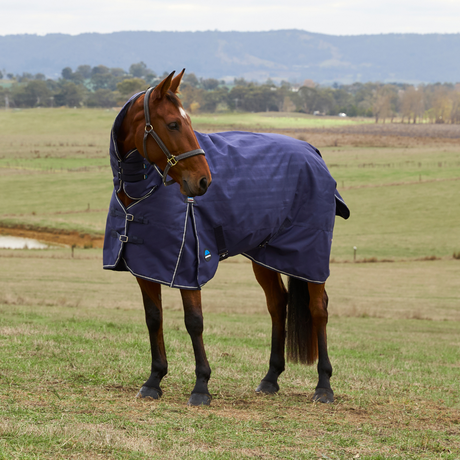 Weatherbeeta Comfitec Prelim 220G Combo Turnout #colour-navy-embossed-plaid