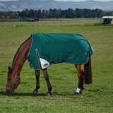 Weatherbeeta Comfitec Plus Dynamic 0G Turnout #colour_forest-green-navy