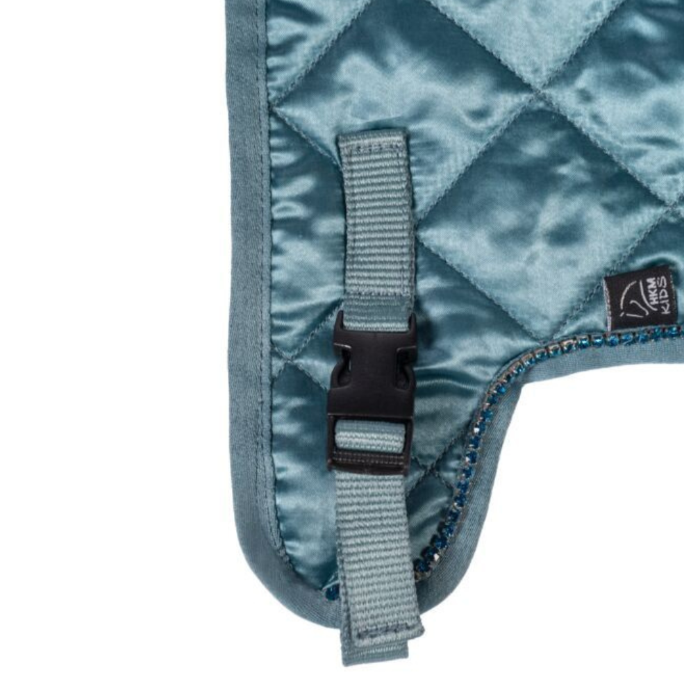 HKM Rug -Hobby Horsing Premium- #colour_turquoise