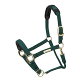 Shires Topaz Nylon Headcollar