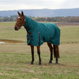 Weatherbeeta Comfitec Classic 220G Combo Turnout #colour_forest-green-black