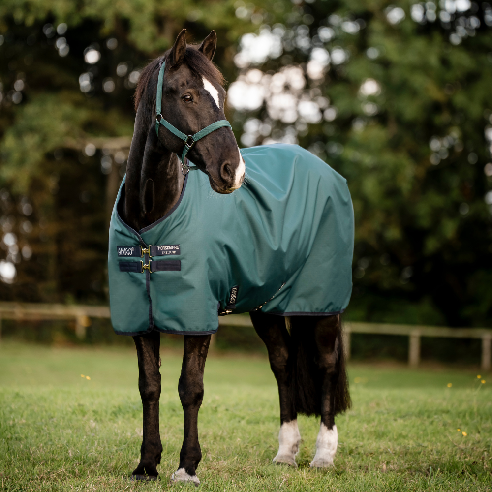 Horseware Ireland Amigo Ripstop 900 50g #colour_dynasty-green-navy-silver