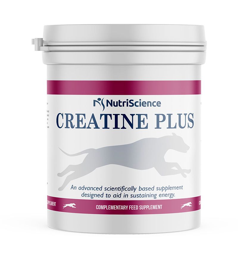Creatine Plus