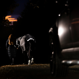 Horseware Ireland Amigo 1200D FieldSafe Reflectech Plus 100g Turnout Rug #colour_black-reflective-black