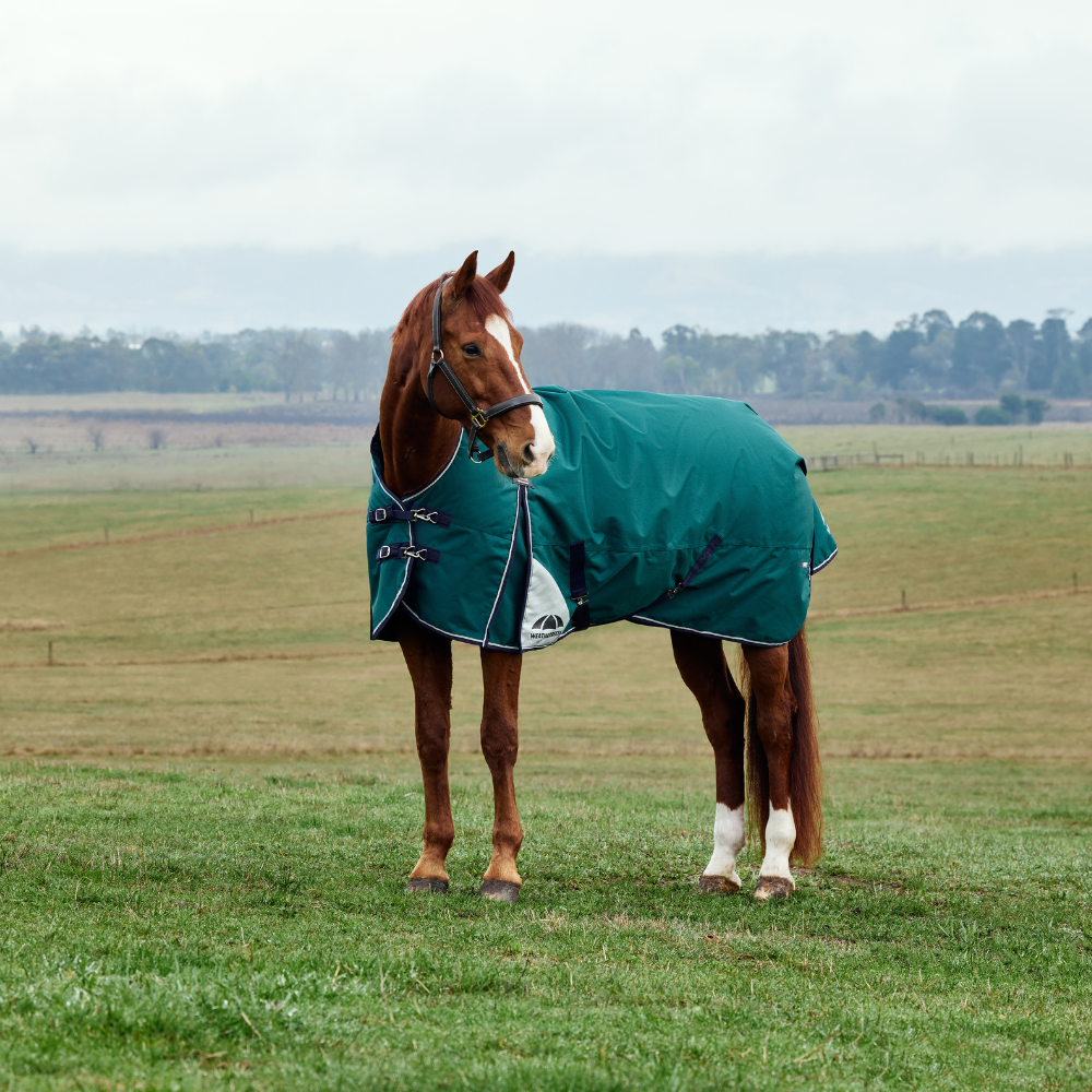 Weatherbeeta Comfitec Plus Dynamic 100G High Neck Turnout #colour_forest-green-navy