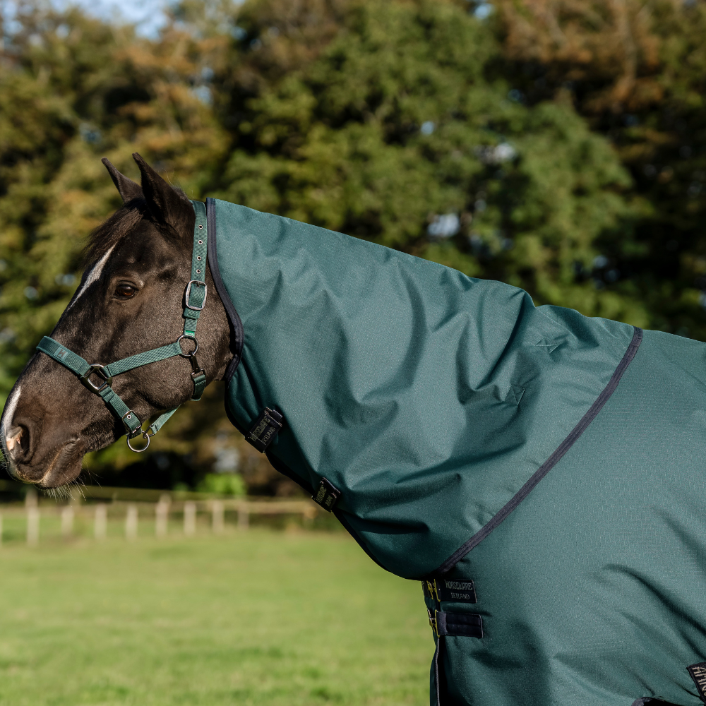Horseware Ireland Amigo Ripstop 900D Plus 200g Pony Turnout Rug #colour_dynasty-green-navy-silver