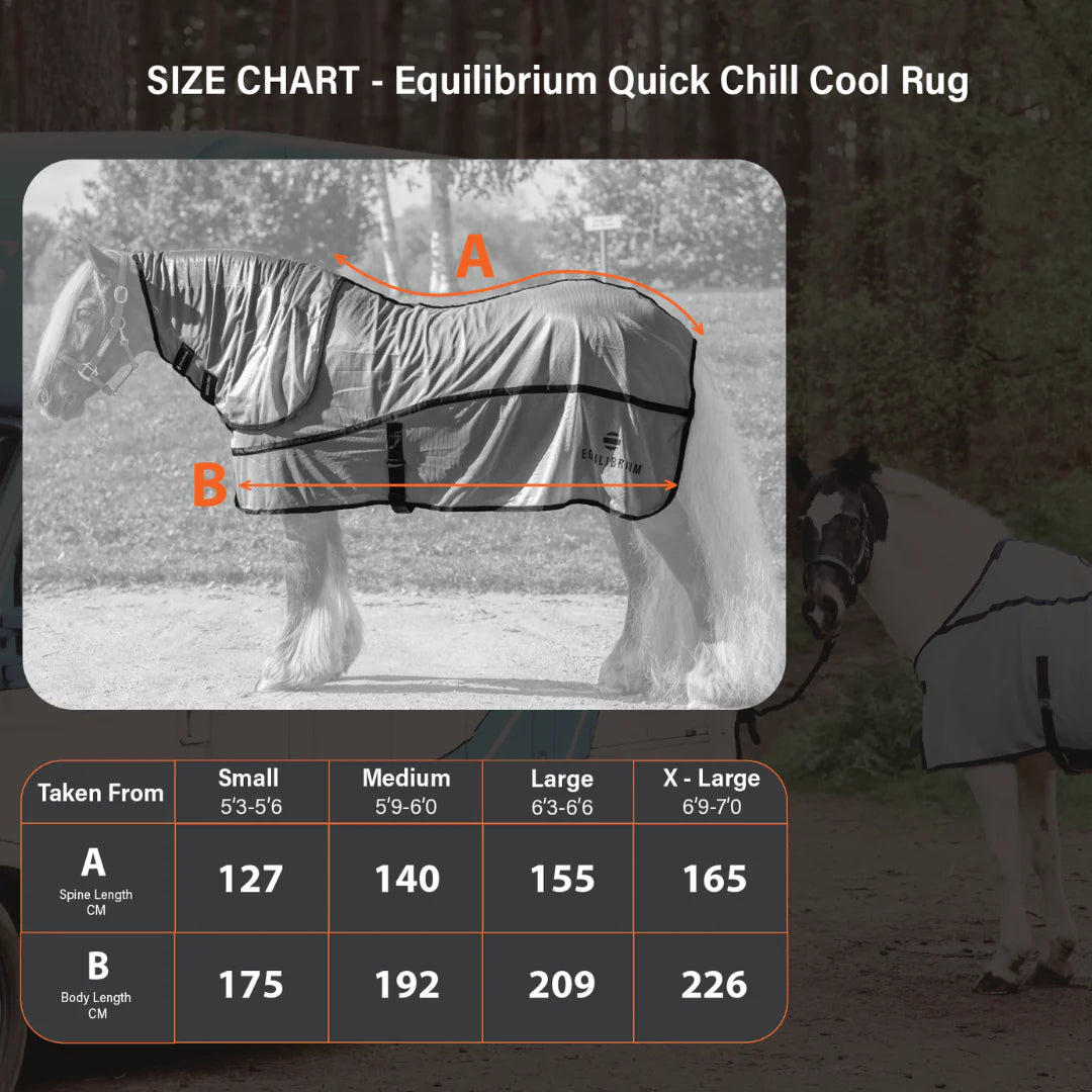 Equilibrium Quick Chill Cool Rug with Detachable Neck