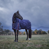 Weatherbeeta Comfitec Essential 220G Combo Turnout #colour_navy-burgundy