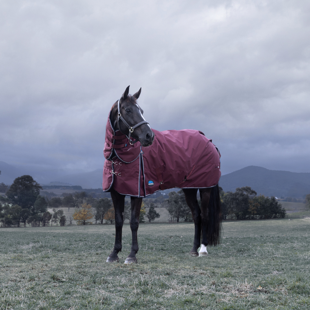 Weatherbeeta Comfitec Essential 220G Detach-A-Neck Turnout #colour_burgundy-navy