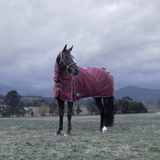 Weatherbeeta Comfitec Essential 220G Detach-A-Neck Turnout #colour_burgundy-navy