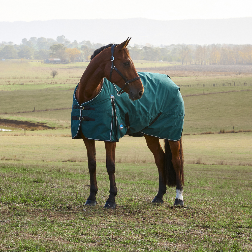 Weatherbeeta Comfitec Classic 220G Turnout #colour_forest-green-black