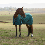 Weatherbeeta Comfitec Classic 220G Turnout #colour_forest-green-black