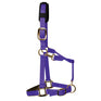 KM Elite Padded Headcollar #colour_purple
