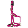 KM Elite Padded Headcollar #colour_raspberry