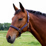 Hy Equestrian Mystic Head Collar #colour_purple-midnight-dust