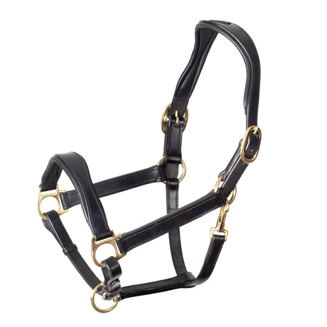Shires Velociti Rapida Cushioned Leather Headcollar #colour_black