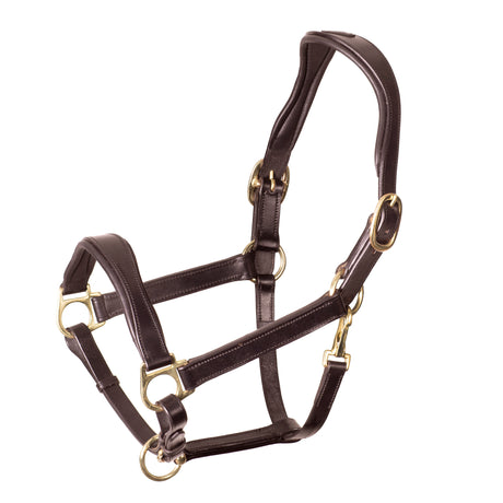 Shires Velociti Rapida Cushioned Leather Headcollar #colour_havana