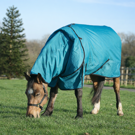 GS Equestrian 100g Detachable Neck Turnout Rug #colour_teal-black