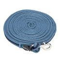 Shires Kissen -Web -Lunge -Linie