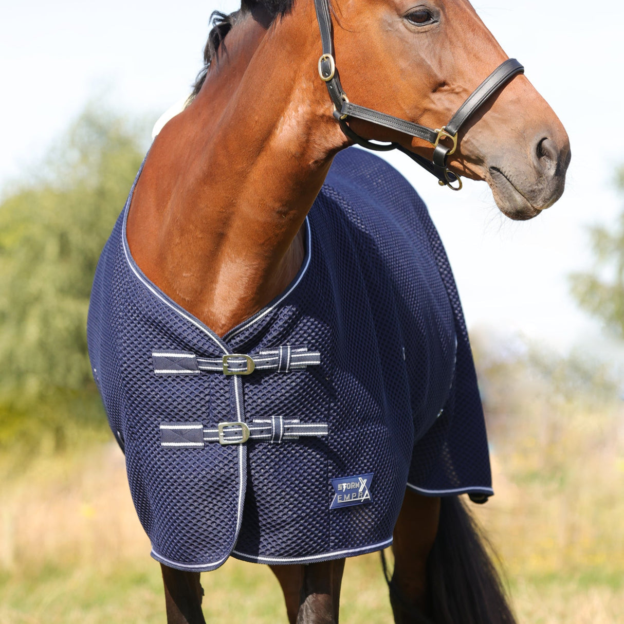 StormX Empra AirFlex 3D Rug #colour_navy