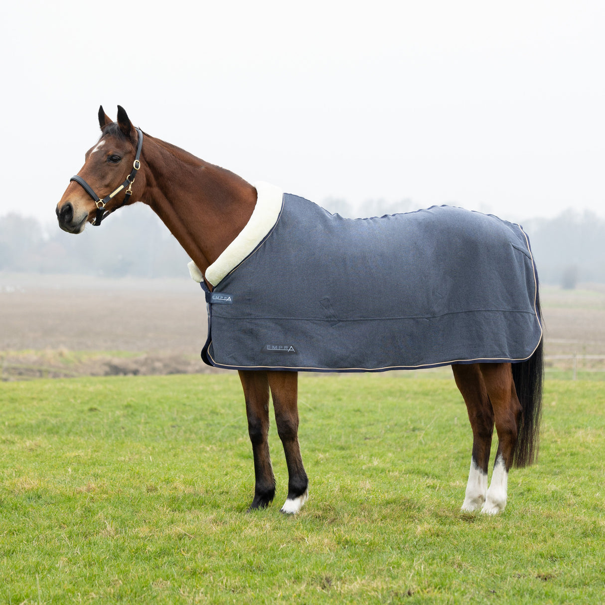 StormX Empra Cushioned Fleece Rug #colour_opal-grey