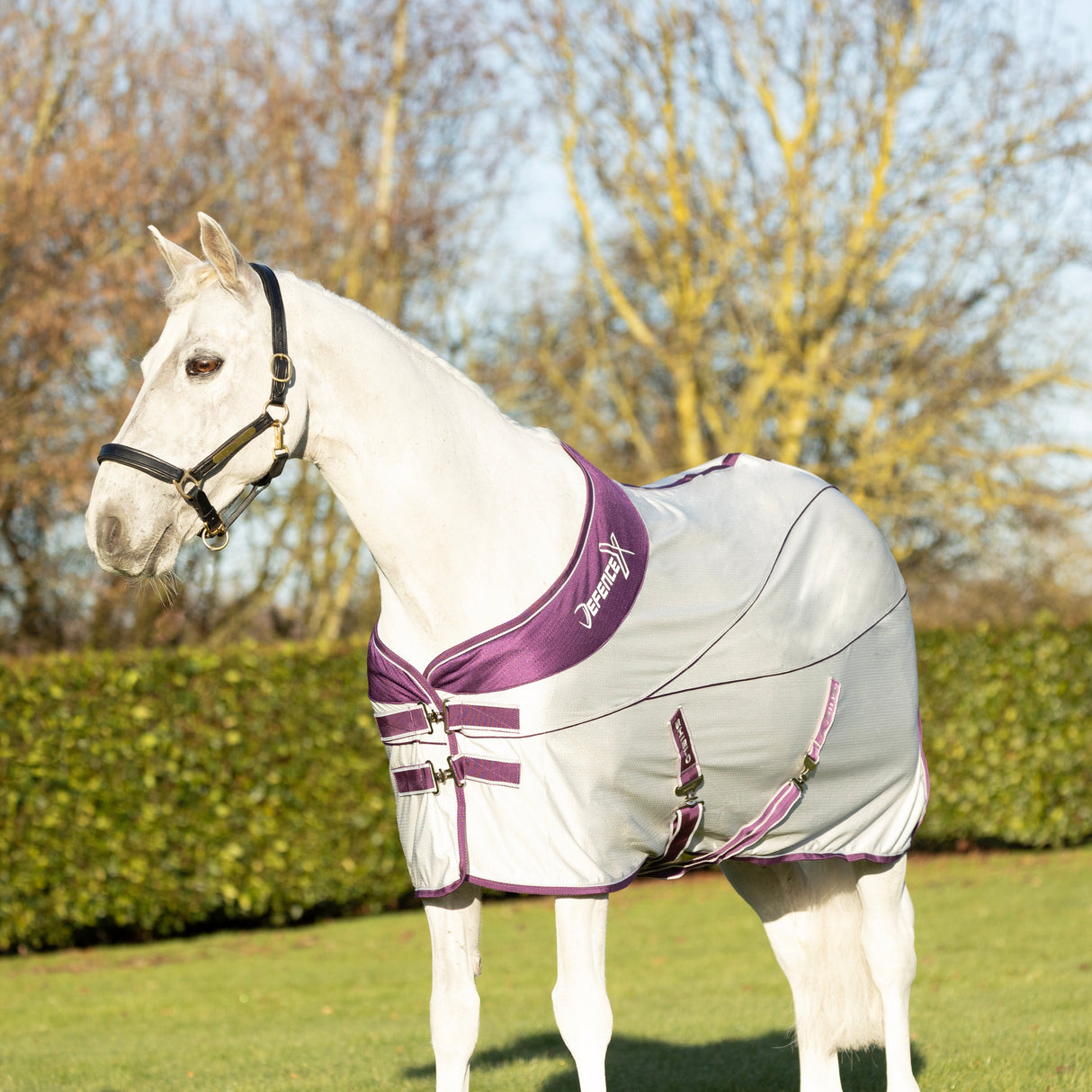 DefenceX Shield Sport Air Cooler Rug #colour_grey-purple