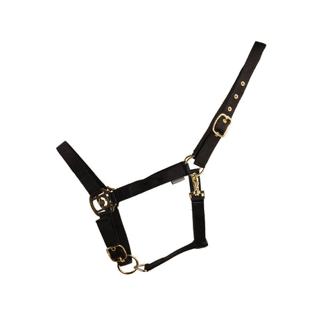 HyCONIC Head Collar #colour_black